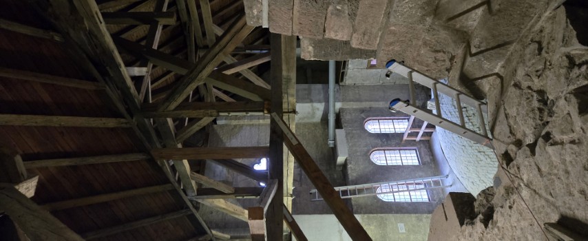 Dom Dachstuhl - Leiter